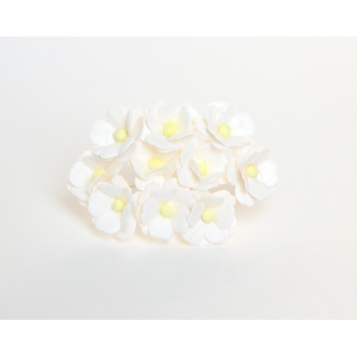 Цветы ВИШНИ - средние 1,5- 2см Белые