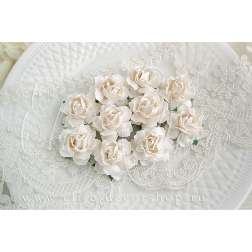 Роза коттеджная 3,5см - Очень светлый айвори/Теплый белый