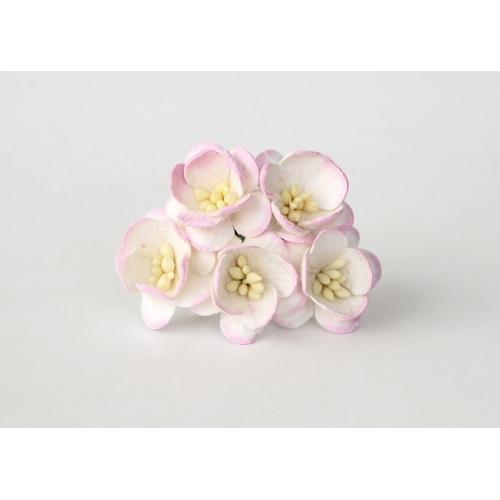 Цветы ВИШНИ 2,5см Белый+нежно розовый