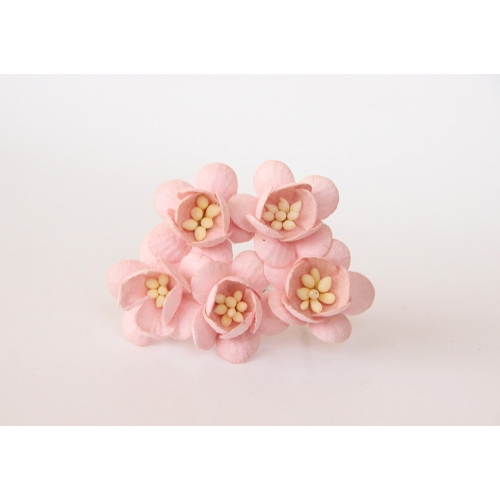 Цветы ВИШНИ 2,5см Розово-персиковые