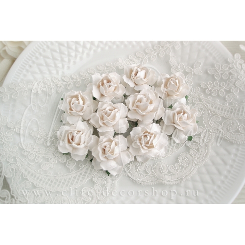 Роза коттеджная 3,5см - Белый