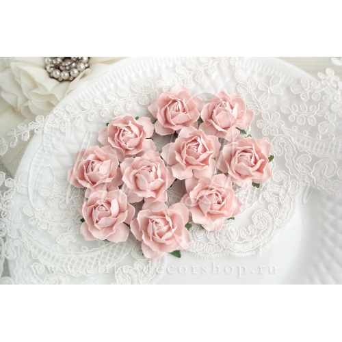 Роза коттеджная 3,5см -Цвет розовая пудра светлый мягкий оттенок
