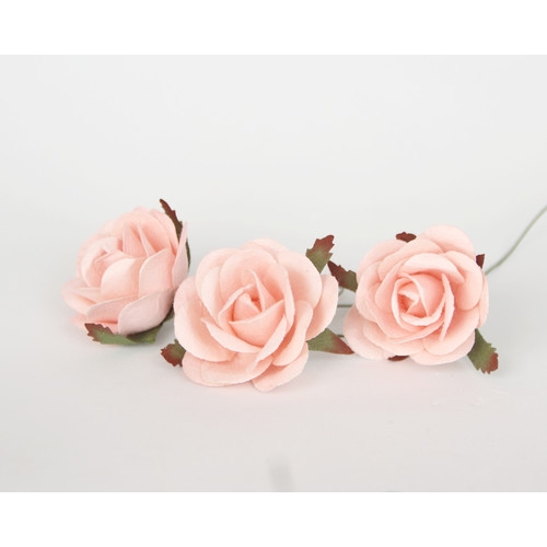 Роза коттеджная 4-5 см. Цвет светлая пудра