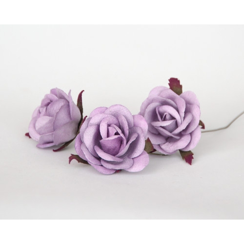 Роза коттеджная 4-5 см. Цвет Св.фиолетовый