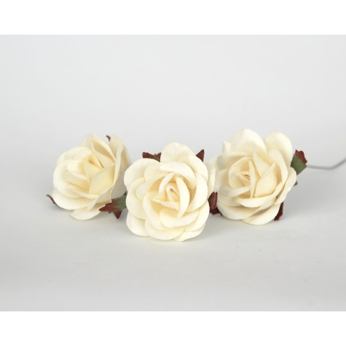 Роза коттеджная 4-5 см. Цвет Молочный