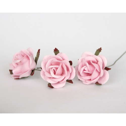 Роза коттеджная 4-5 см. Цвет светло-розовый