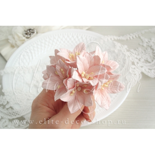 Лилия 2,5-3 см  Цвет розовая пудра светлый мягкий оттенок