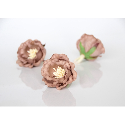 Полиантовая роза - Карамель   4.5-5 см