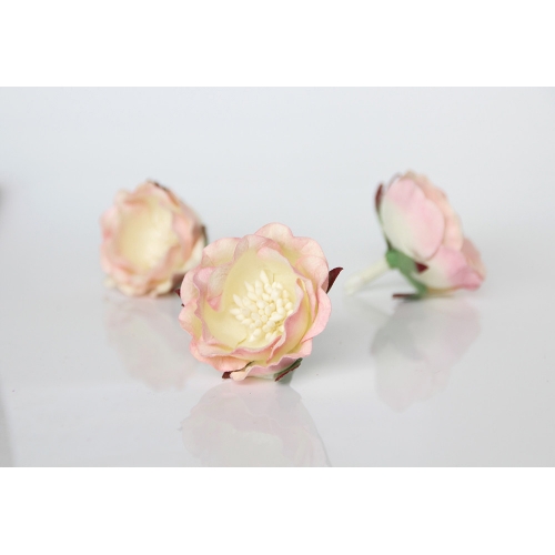 Полиантовая роза - Молочный+св.розовый 4.5-5 см
