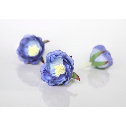 Полиантовая роза - Голубой+св.синий 4.5-5 см