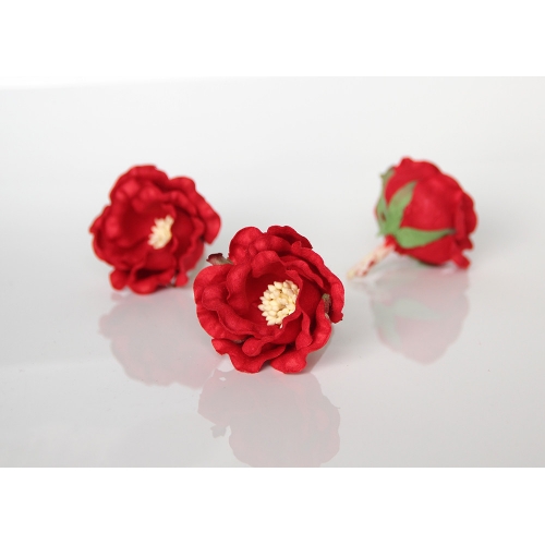 Полиантовая роза - Красная  4.5-5 см