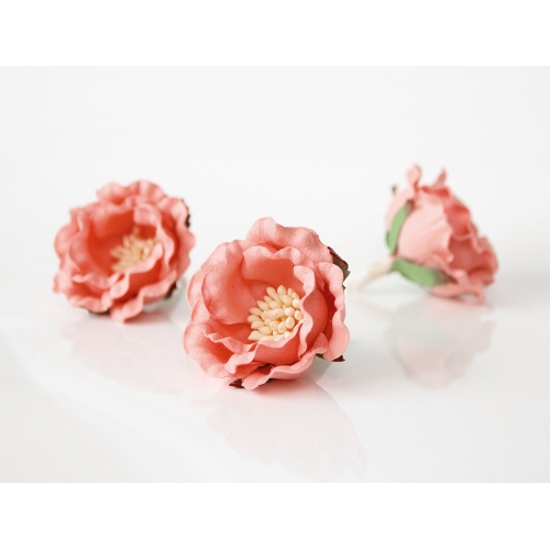 Полиантовая роза - Лососевый 4.5-5 см