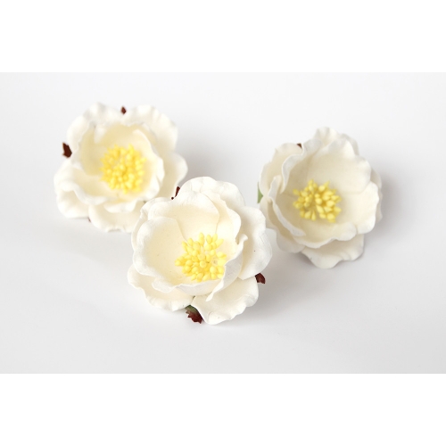 Полиантовая роза - Белая 4.5-5 см