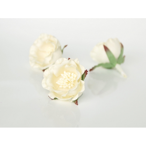 Полиантовая роза - Св. Кремовая 4.5-5 см