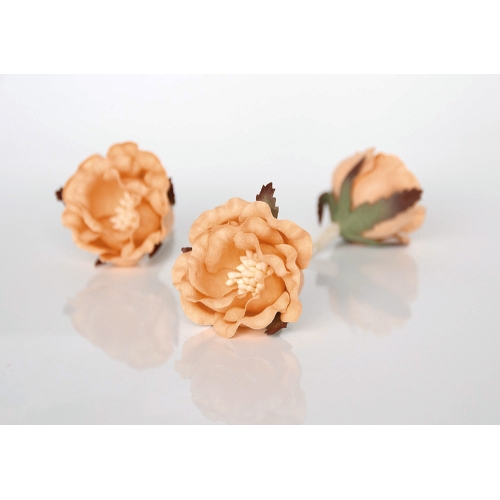 Полиантовая роза - Персиковая 4.5-5 см