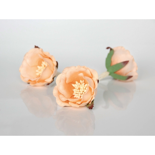 Полиантовая роза - Персиковый + Св. персиковый 4.5-5 см
