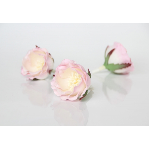 Полиантовая роза - Св. Розово-белая 4.5-5 см