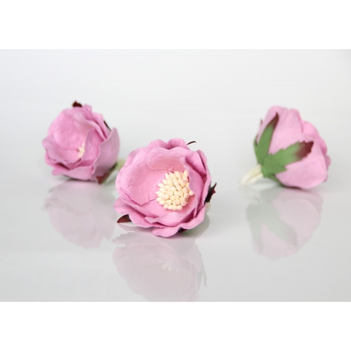 Полиантовая роза - Розовая 4.5-5 см