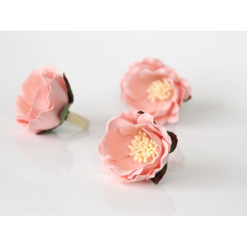 Полиантовая роза - Св. Розово-персиковая 4.5-5 см