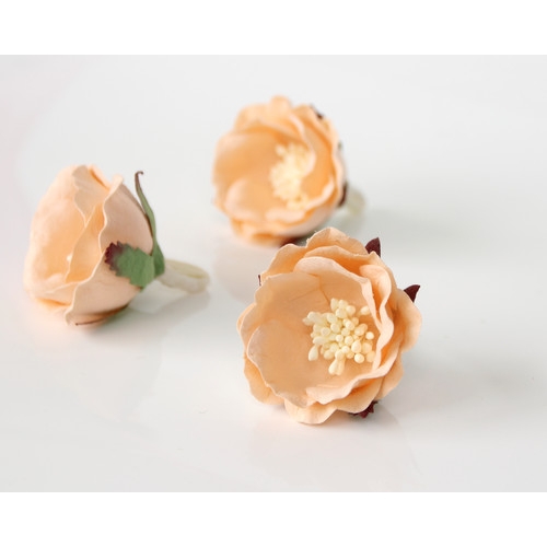 Полиантовая роза - Св. Персиковая 4.5-5 см