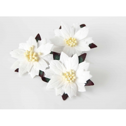 Пуансетия Рождественский цветок Размер ≈ 6 см Цвет Белый