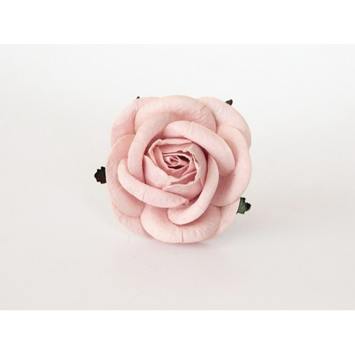 Роза 5 см Цвет Светлая пудра
