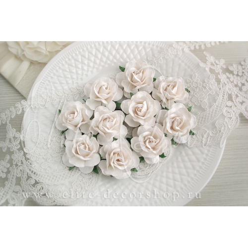 Роза кудрявая  ≈ 4,5 см Цвет белый