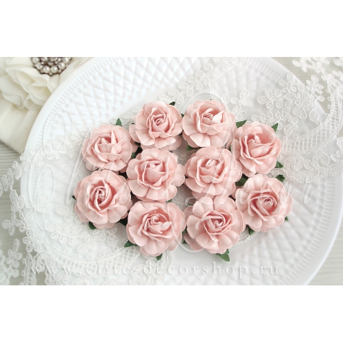 Роза 4 см Цвет Цвет розовая пудра светлый мягкий оттенок