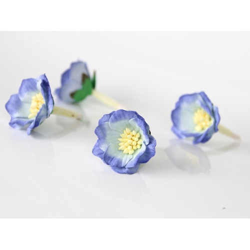 Цветы Сенполии. Цвет голубой+св.синий