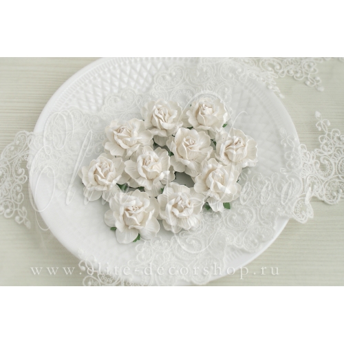 Роза чайная кудрявая  4,5 см Белый