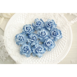Роза чайная кудрявая 4,5 см Голубой