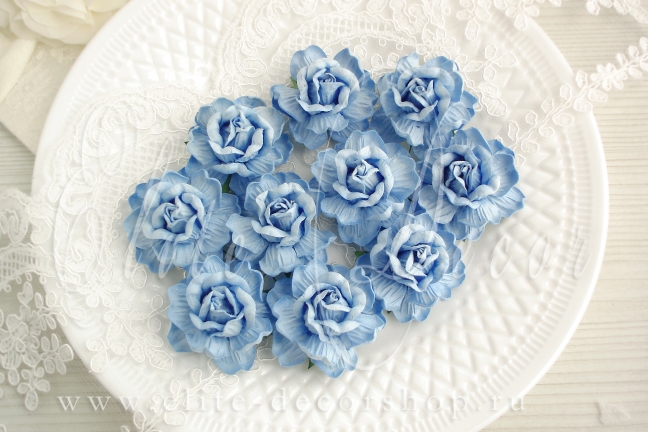 Роза чайная кудрявая 4,5 см Голубой