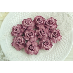 Роза чайная кудрявая  4,5 см Цвет Пыльно-розовый