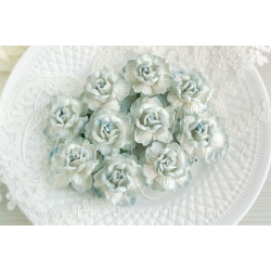 Роза чайная кудрявая 4,5 см Белый+св.голубой