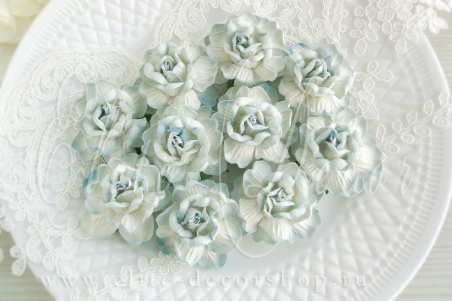 Роза чайная кудрявая 4,5 см Белый+св.голубой