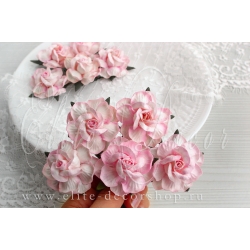 Роза чайная  ≈ 4,8 см Цвет Белый+розовый