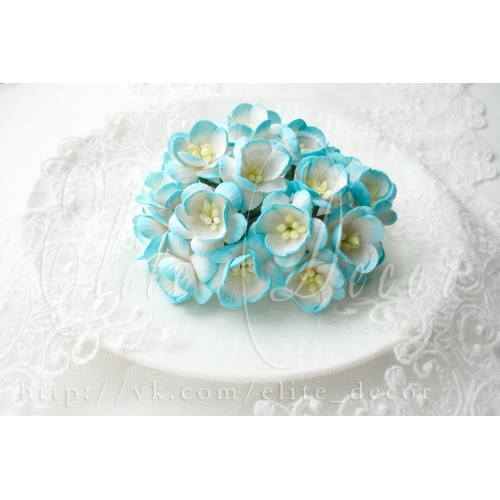 Цветы ВИШНИ 2,5см Бело-голубые